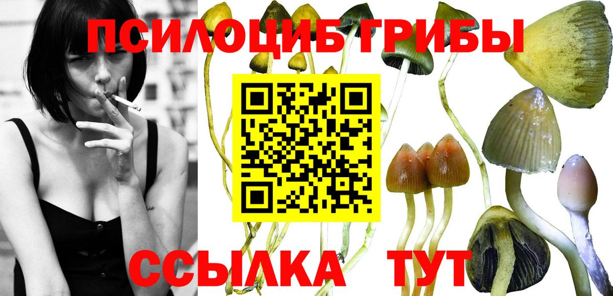 Галлюциногенные грибы Magic Shrooms Гагарин
